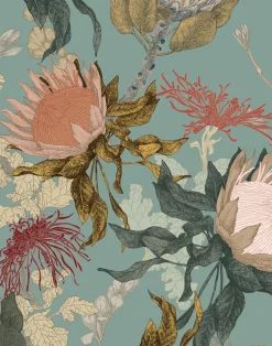 Proteas' Dream, Duck Egg