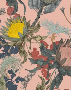 Proteas' Dream, Pink