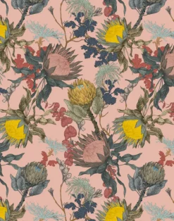 Proteas' Dream, Pink