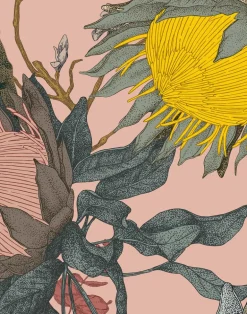 Proteas' Dream, Pink