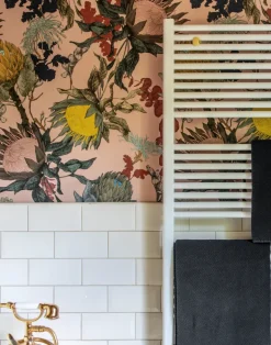 Proteas' Dream, Pink