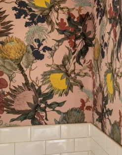 Proteas' Dream, Pink