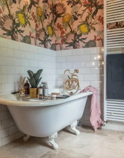 Proteas' Dream, Pink