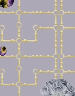 Quinn Orchid W-QOR-VGO-LMI