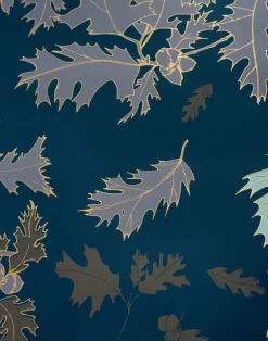 Ramón, Roble Fuerte - En La Aurora