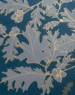 Ramón, Roble Fuerte - En La Aurora