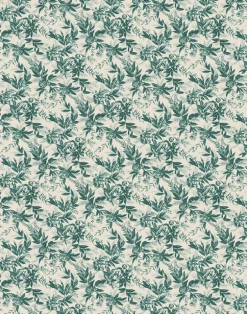 Recollection Boreal Forest WPLC0403