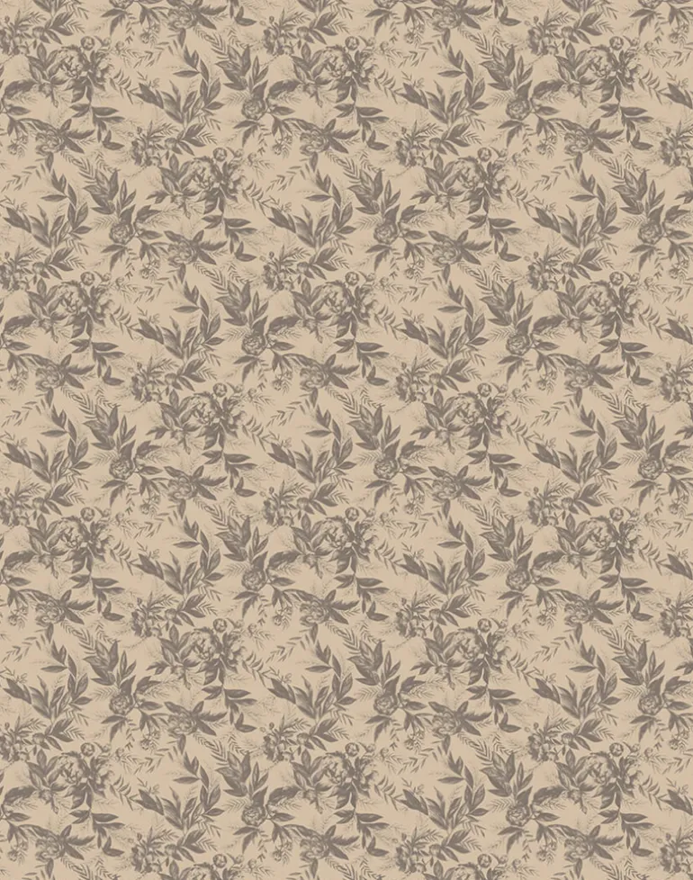 Recollection Roasted Cashew WPLC0401