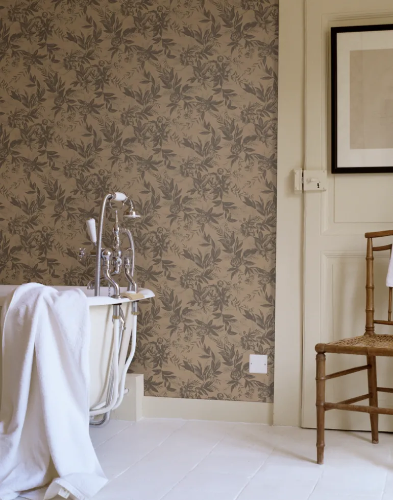 Recollection Roasted Cashew WPLC0401