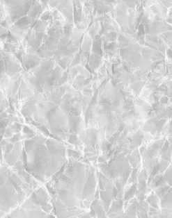 Reflection, Graphite