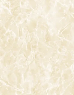 Reflection, Tea Stain