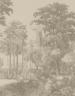 Remembrance, Fading Amber WPLC0454