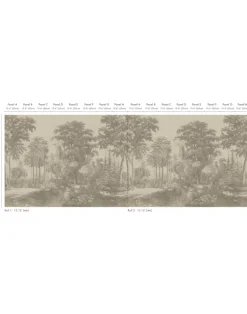 Remembrance, Fading Amber WPLC0454