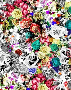 Rose Mary Rose, Nadine