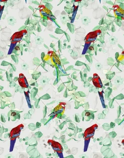 Rosellas in the Garden, Pebble