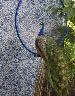 Rousseau, Blue W0104-01