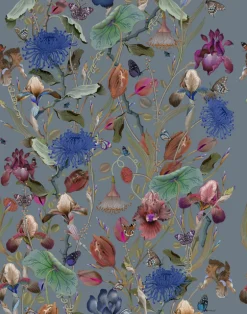 Royal Iris W-RIR-PHE-ENF