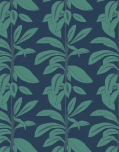 Rubber Plant, Leaves at Midnight