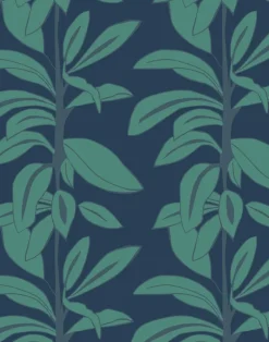 Rubber Plant, Leaves at Midnight