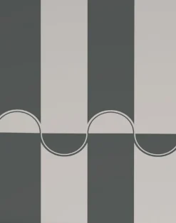 Scallop Lane, Cordite