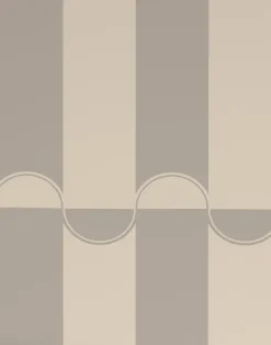 Scallop Lane, Whippet