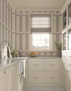 Scallop Lane, Whippet