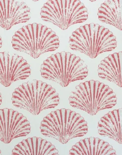 Scallop Shell, Red