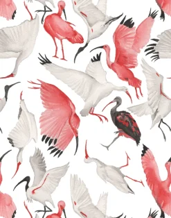 Scarlet and White Ibises, Full Scale