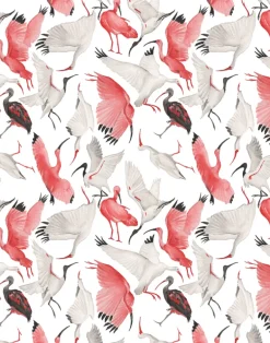 Scarlet and White Ibises, Half Scale