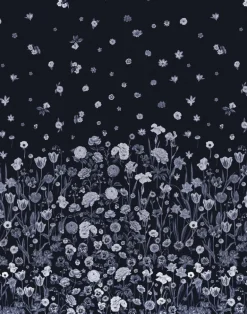 Seasons in Bloom, Iris