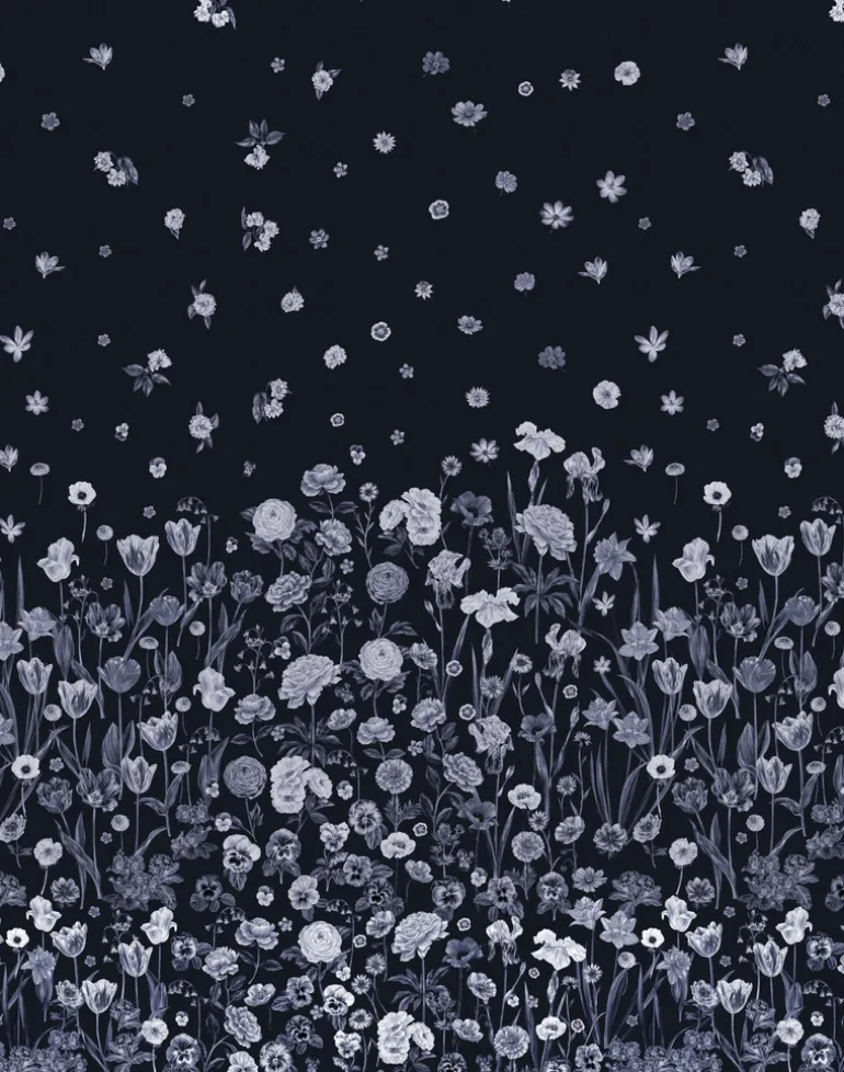 Seasons in Bloom, Iris