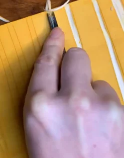 Somerset Stripes, Yellows