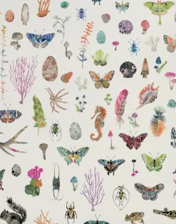 Specimens, Linen Wallpaper
