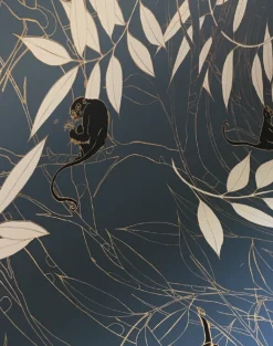 Spider Monkey, Monkeys Before Dawn