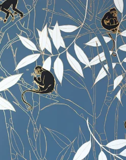 Spider Monkey, Monkeys Before Dawn