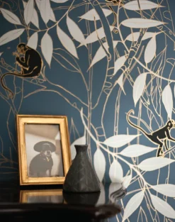 Spider Monkey, Monkeys Before Dawn