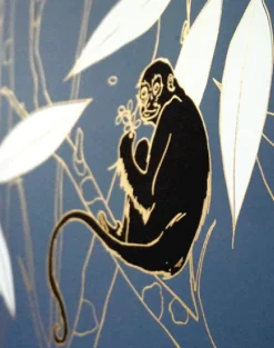 Spider Monkey, Monkeys Before Dawn