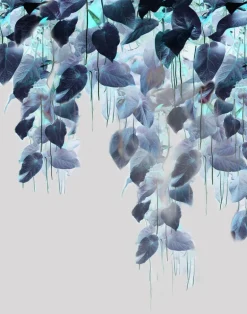 Talbots Calotype PM167-01