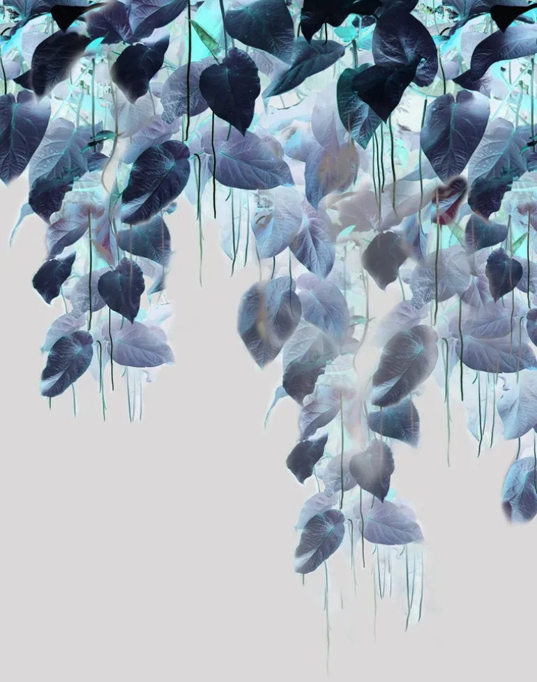 Talbots Calotype PM167-01