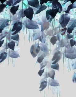 Talbots Calotype PM167-01