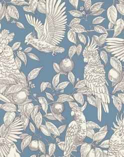 Talk about Cockatoos, Faded Denim