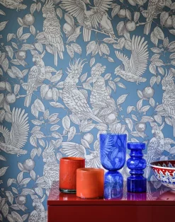 Talk about Cockatoos, Faded Denim