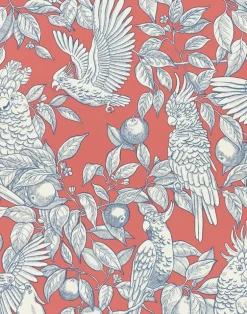 Talk about Cockatoos, Tomato