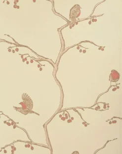 The English Robin, Parchment