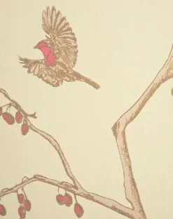 The English Robin, Parchment