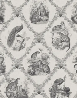 The Fierce & The Fabulous, Soft Charcoal