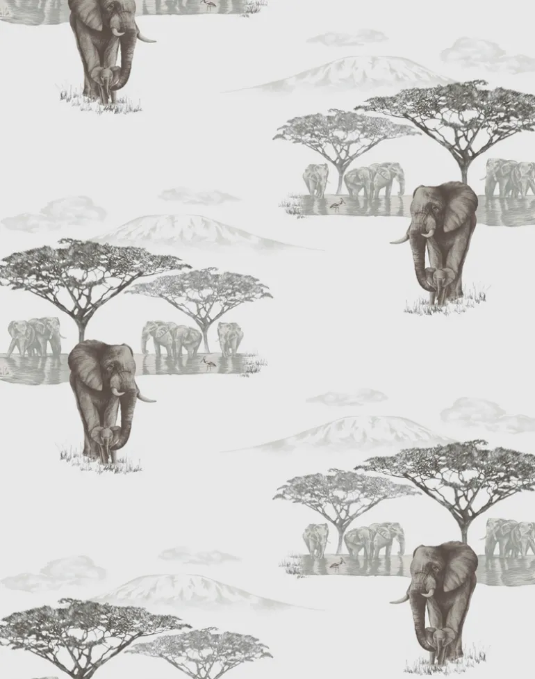 The Waterhole, JTWH01