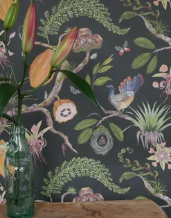 Theobroma, Gold on Navy