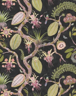 Theobroma, Leaf on Grey