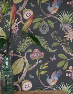 Theobroma, Leaf on Grey